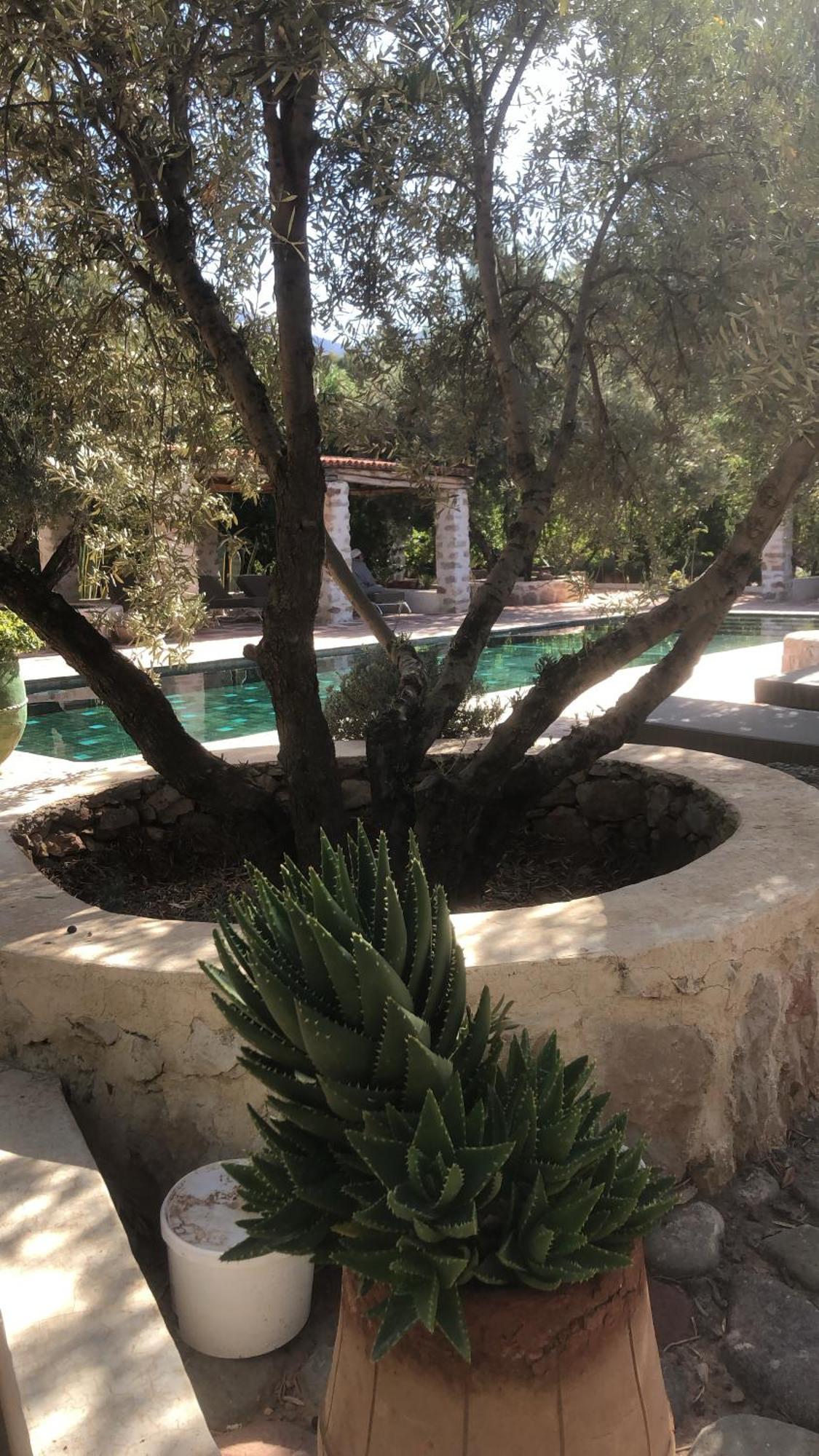 Sel D Ailleurs, Atlas Mountain Retreat - Adults Only Ouirgane Luaran gambar