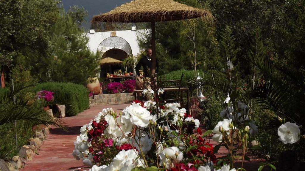 Sel D Ailleurs, Atlas Mountain Retreat - Adults Only Ouirgane Luaran gambar